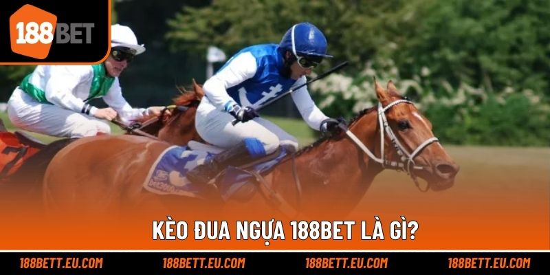 Giải thích khái niệm liên quan cược thi đấu đua ngựa