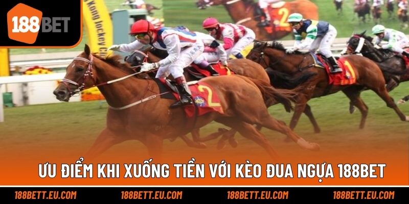 Ưu điểm trong lựa chọn chinh phục cược đua ngựa